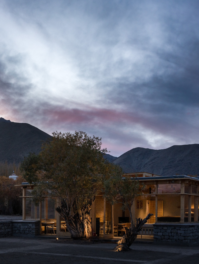 THE POSTCARD IN THE HIMALAYAN WILLOWS